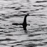 Loch Ness Monster: Fossil discovery suggests mythical creature may have once existed