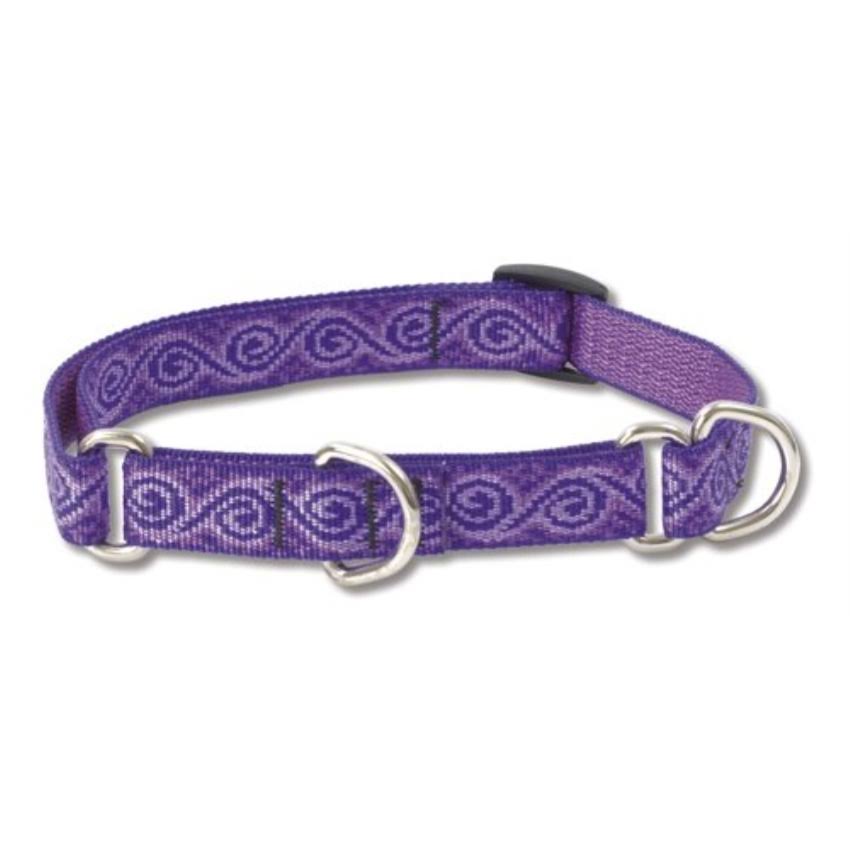 Lupine Jelly Roll Martingale Combo Collar for Medium to Large Dogs - 3/4" x 14-20"