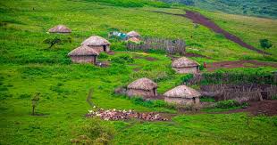 Maasai dorp in Ngorongoro Conservation Area
