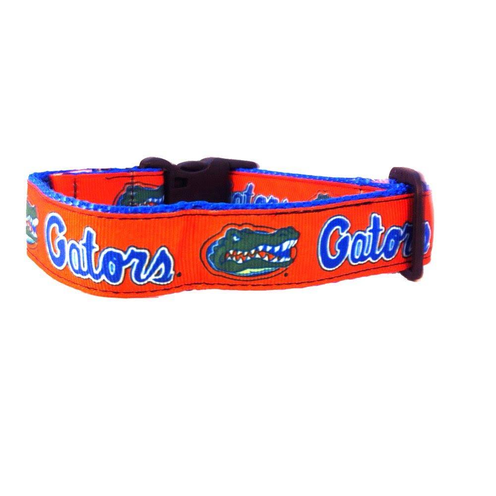 NCAA Florida Gators Dog Collar, Team Color, Small