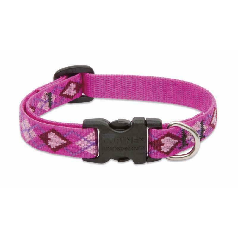 LupinePet Puppy Love Adjustable Dog Collar for Small Dogs - 1/2" x 6-9"