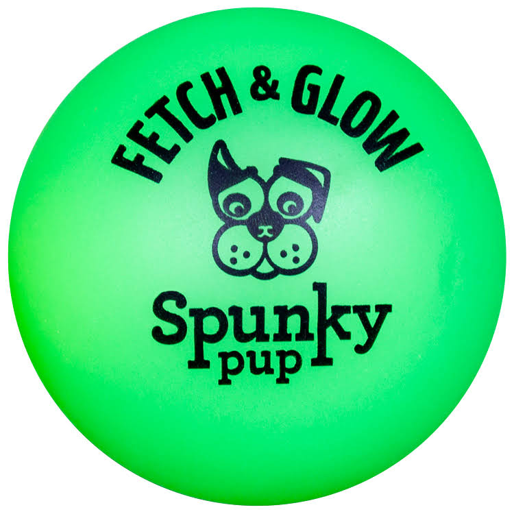Spunky Pup Fetch and Glow Ball - Medium