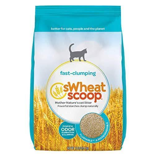 Swheat Scoop Natural Biodegradable Cat Litter, Fast-Clumping, 12 Pound