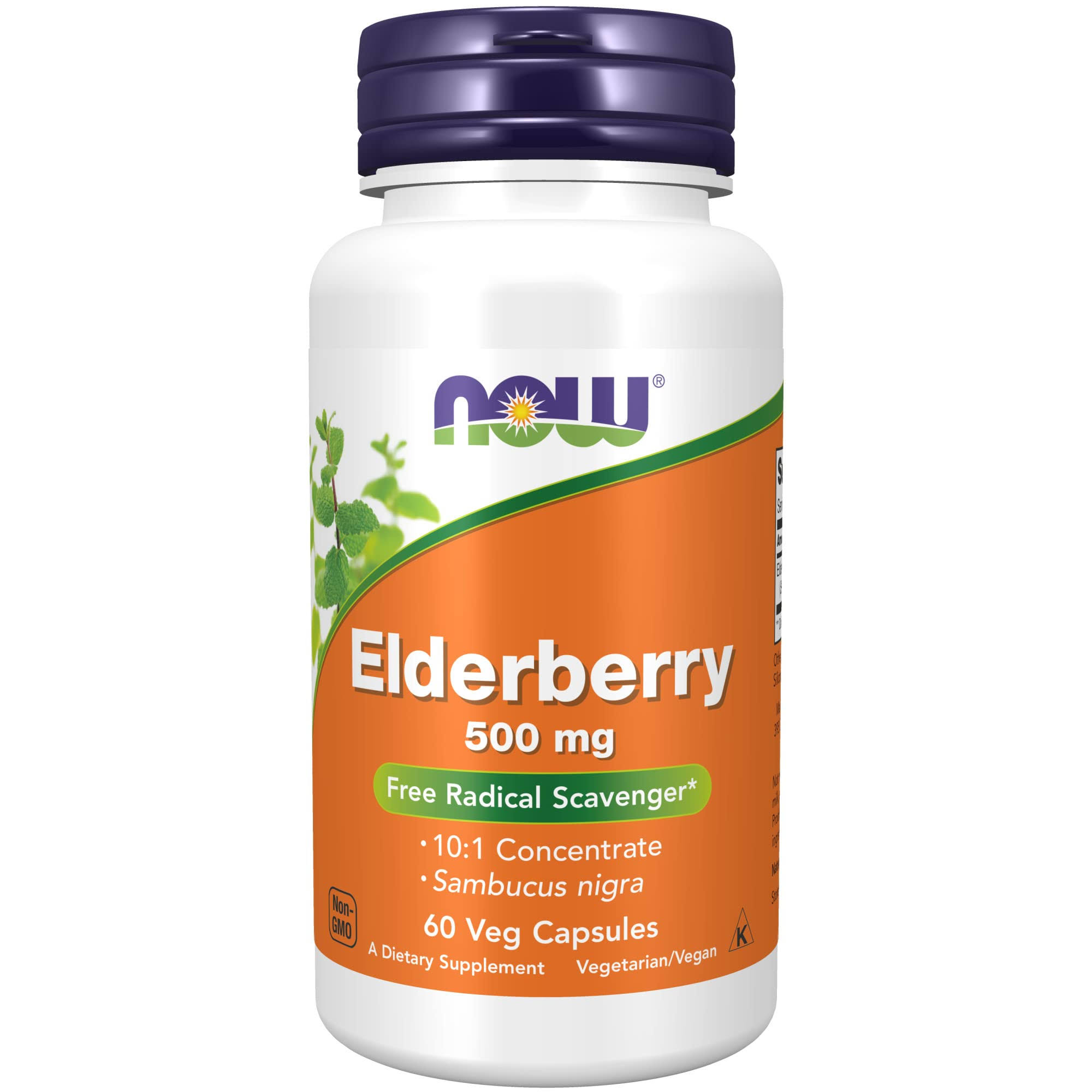 Now Foods Elderberry Extract