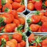 As the FDA investigates, HEB claims their strawberries are safe to eat