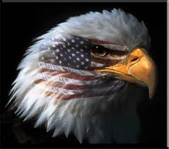 Patriotic Eagle Patriotic Eagle