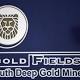 Gold Fields to extend life of Ghana mine, add on 1850 jobs