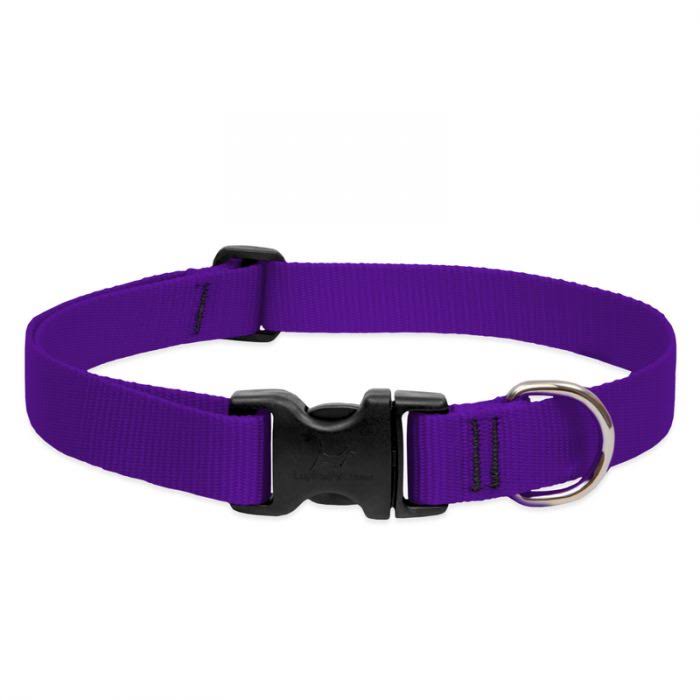 LupinePet Martingale Combo Collar - Purple, 1x15-22 in