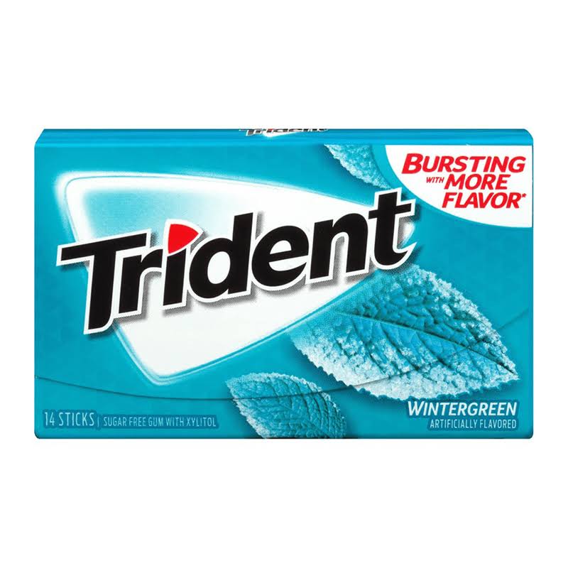 Trident Gum Wintergreen 14pc