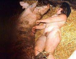 20 - Wild Boar Fucks A Girl - Sex With Pigs | BEASTEXTREME ZOO PORN