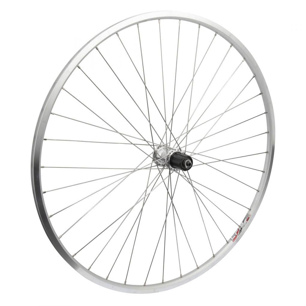 WheelMaster Rear Bicycle Wheel, 700 WEI LP18 SL 36 ALY 8/9sp Cass SL QR 130mm DTI2.0SL