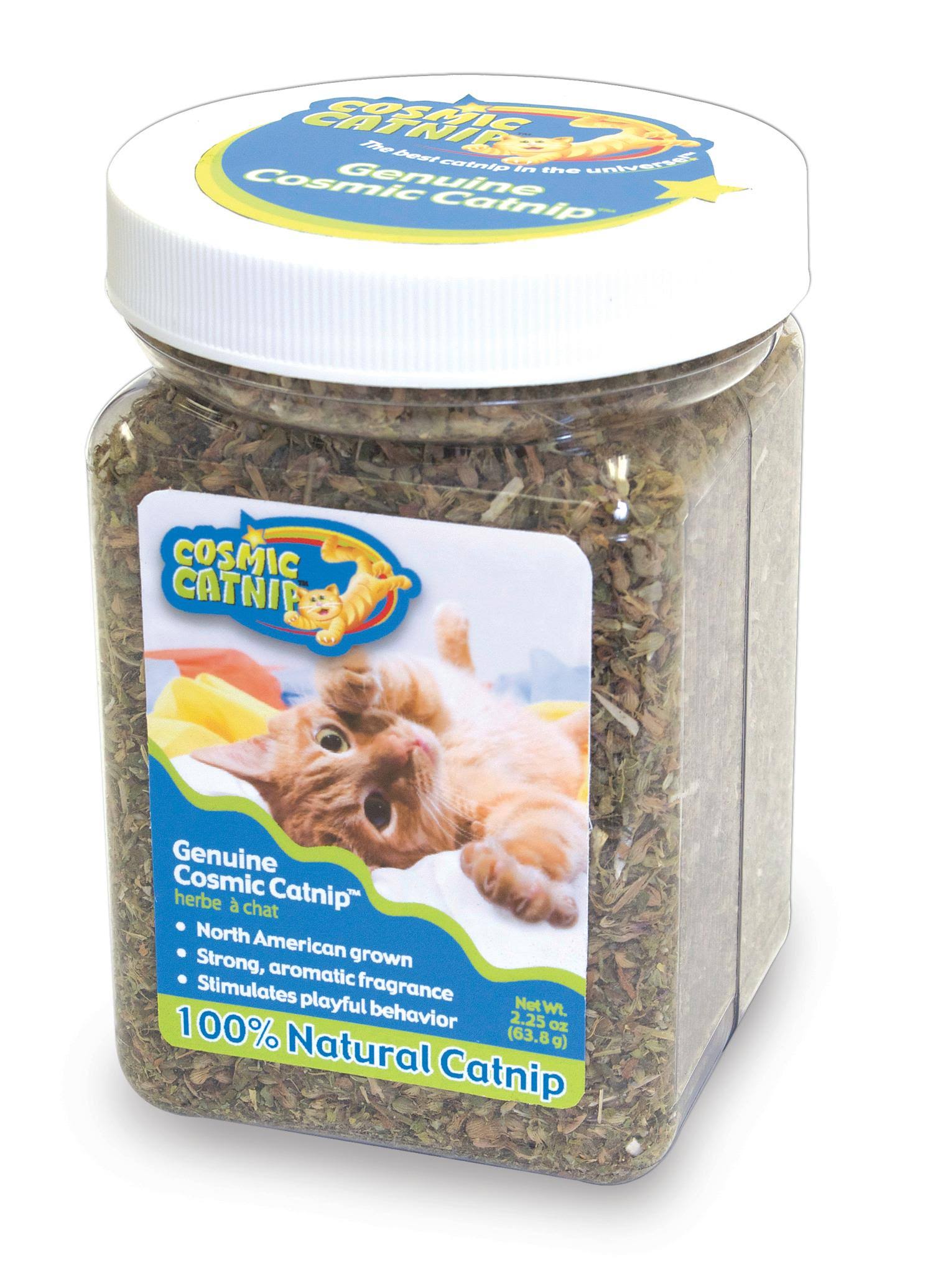 OurPets Catnip Jar Cat Herb