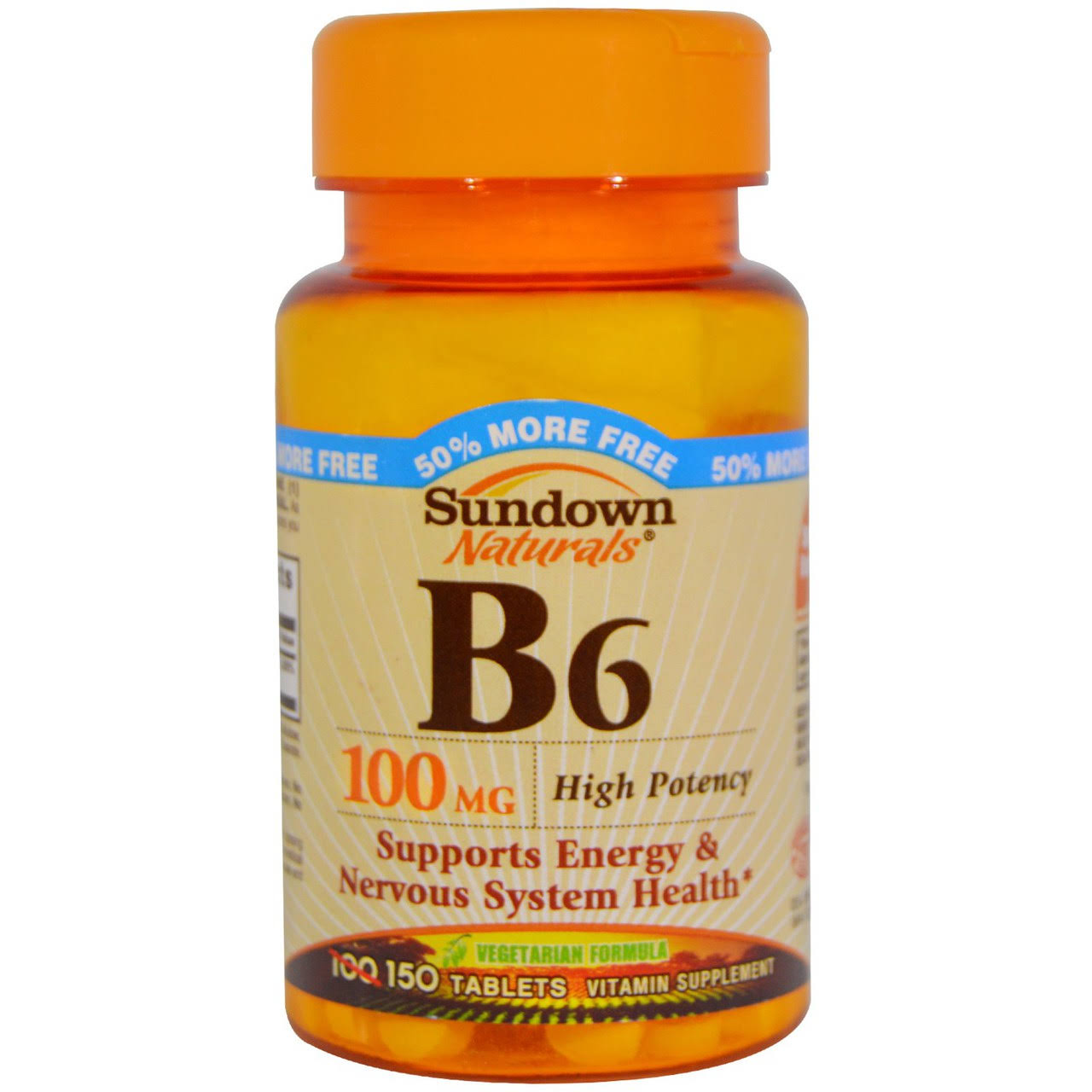 Sundown Naturals Vitamin B6 Supplement - 100mg, 150 Tablets