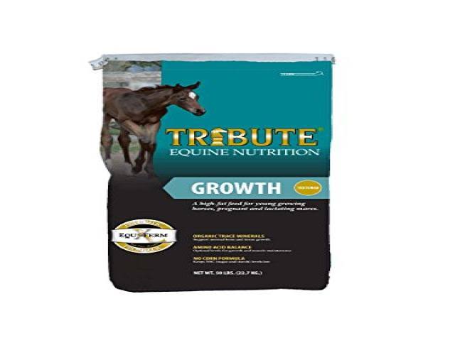 Kalmbach Feeds Tribute Growth Textured for Horse 50 lb