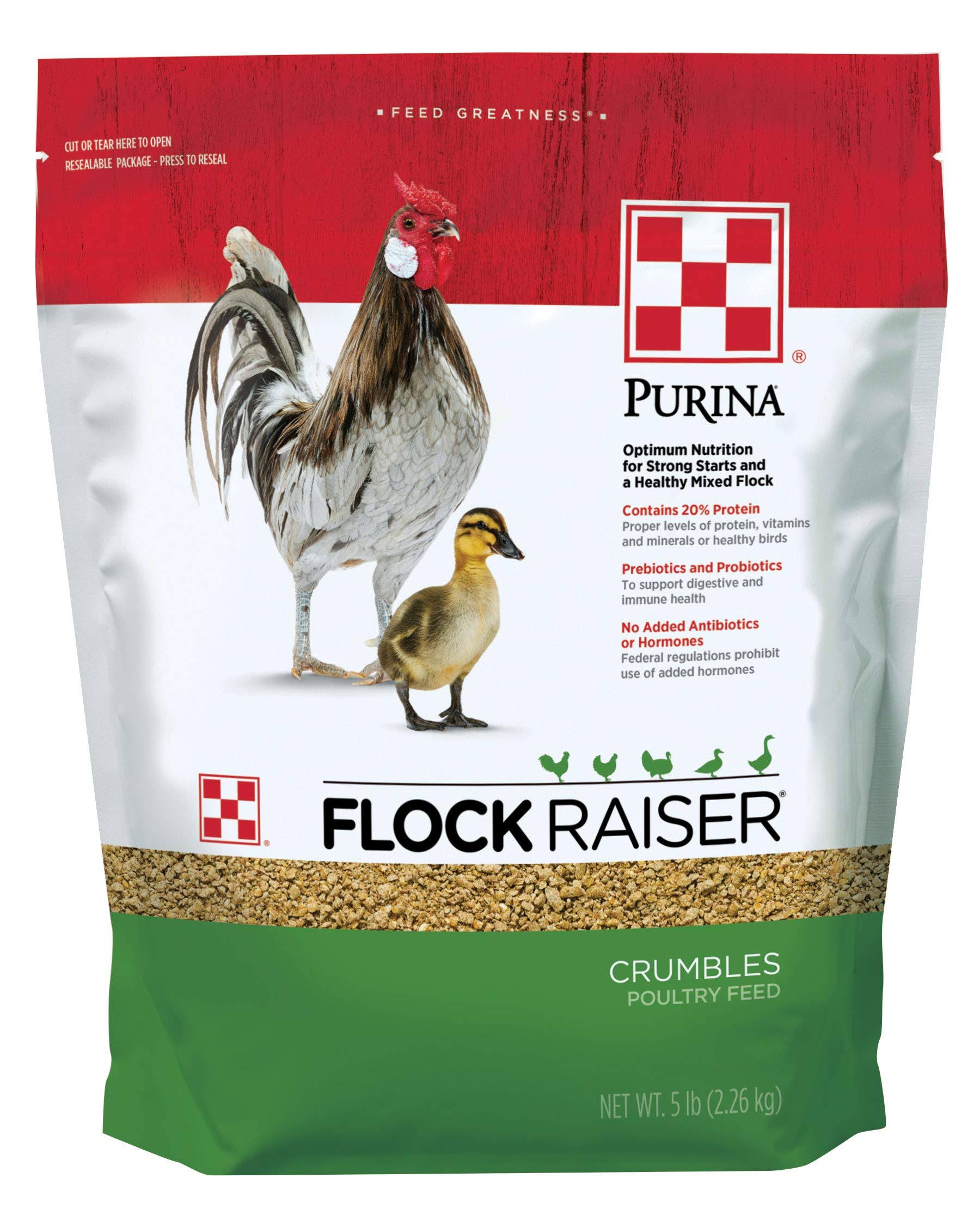 Purina Flock Raiser Crumbles Poultry Feed Nutritionally Complete - 5 Pound Bag