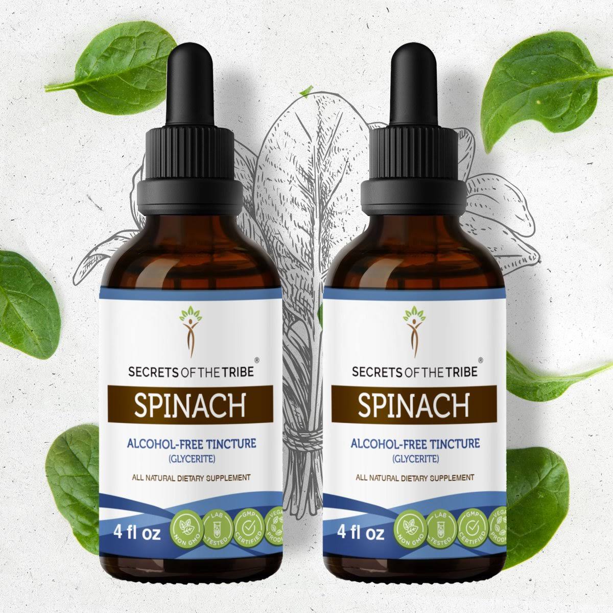 Spinach Tincture Alcohol-Free / 2x4 fl oz
