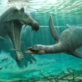 Plesiosaur fossils found in the Sahara suggest they weren't just marine animals