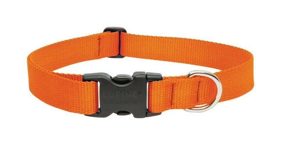 Lupine Dog Collar - Blaze Orange