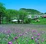 http://www.jahanama.blogfa.com/ Image result for u202bروستاي جهان نماu202c