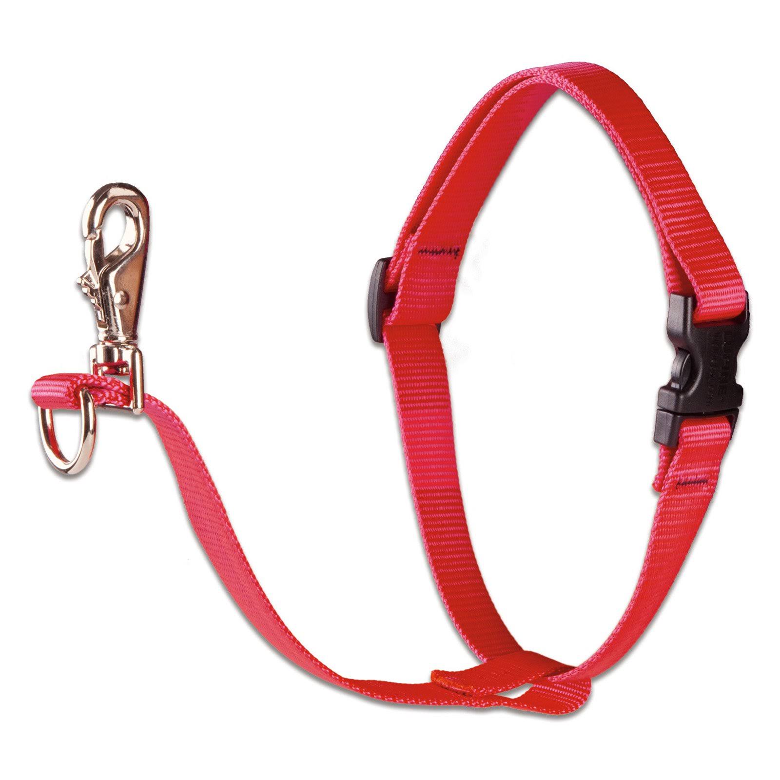 Lupine Collars & Leads - Red, 1 x 24-38 in