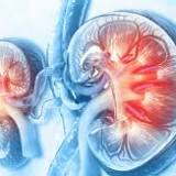 Kidney Transplant Rejection Market to Grow at a Substantial Growth Rate During the Forecast Period (2019-32) 