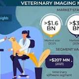 Surgical imaging Market is Thriving According to New Report: Opportunities Rise For Stakeholders by 2026 