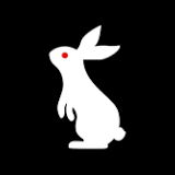 WWE Drops Another White Rabbit QR Code Tease During SmackDown This Week