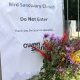Nearly 100 birds at popular sanctuary euthanized