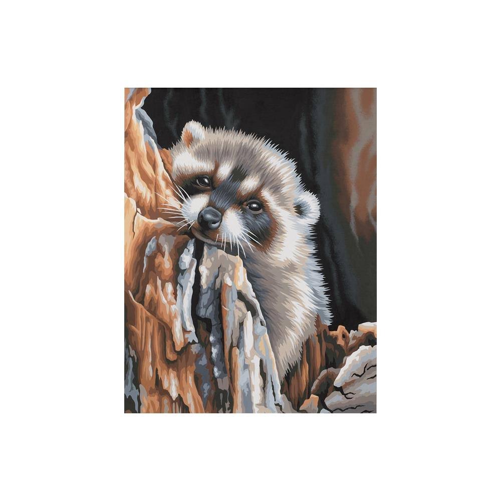 Dimensions Needlecrafts Paintworks Daydreaming Raccoon Paint By Number Kit - 11"x14"