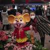 Chinese New Year 2020 Animal: Year of the Rat Zodiac Sign ...