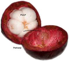 Mangosteen Fruit  images?q=tbn:ANd9GcR