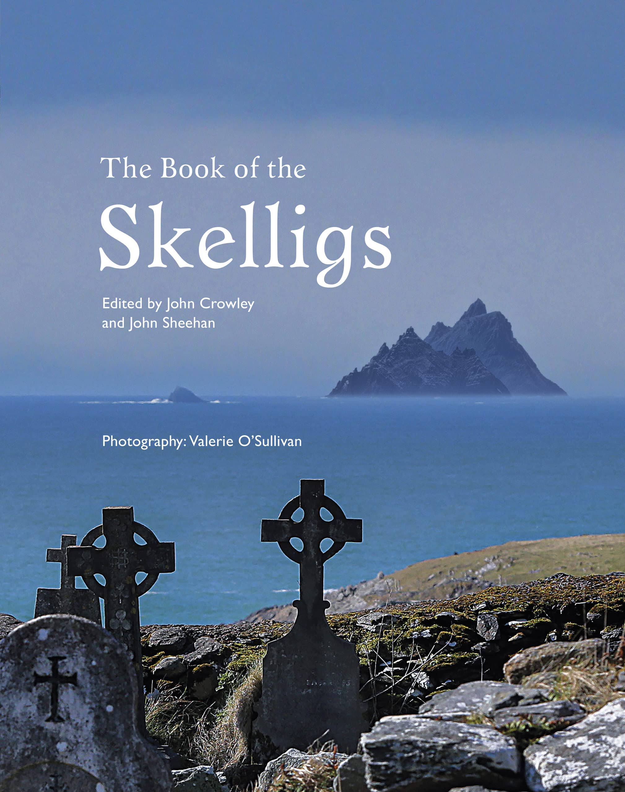 The Book of The Skelligs by John Crowley