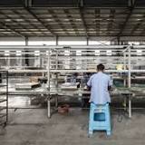 China Factory Activity Shows Mild Growth as Covid Curbs Persist