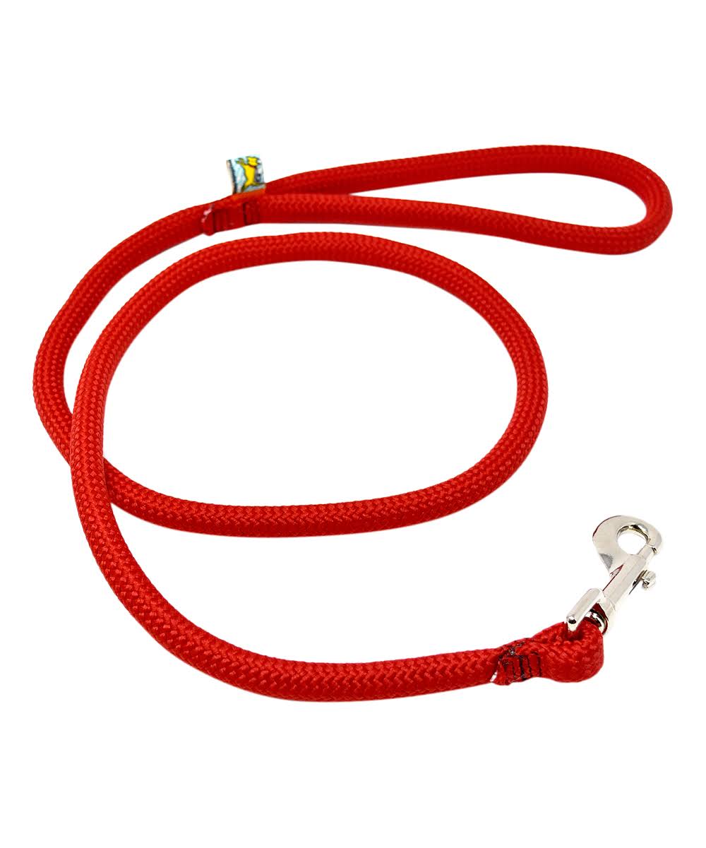 Yellow Dog Design Pet Leash Red Braided Rope Lead 6ft