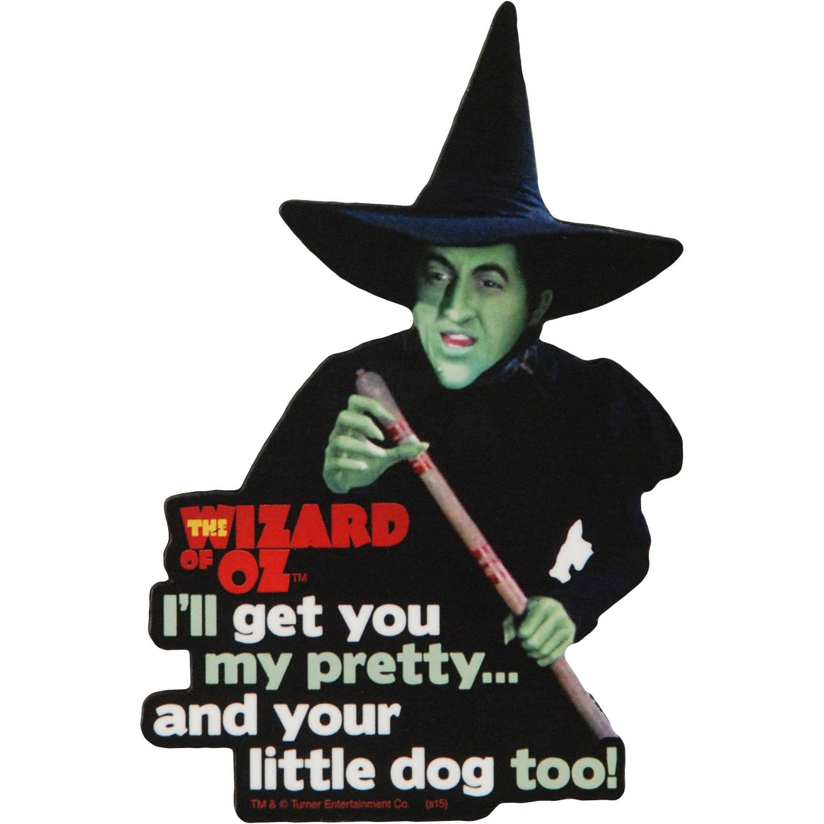Aquarius Wizard of Oz Witch Funky Chunky Magnet