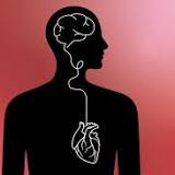 Poorer Heart Health in Midlife Is Linked to Greater Brain Aging in Later Life