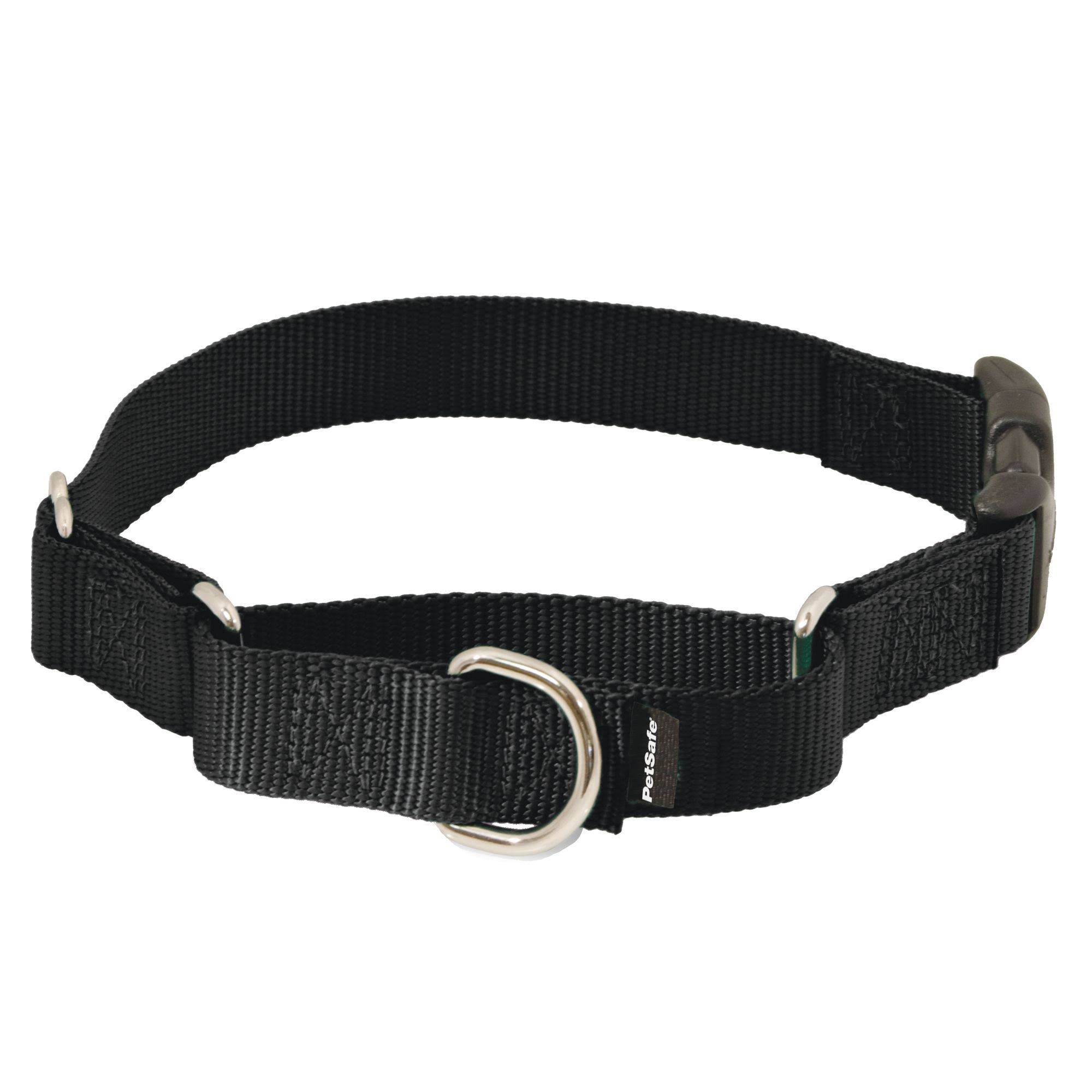 PetSafe Martingale Pet Collar with Quick Snap Buckle - 3/4", Small, Black