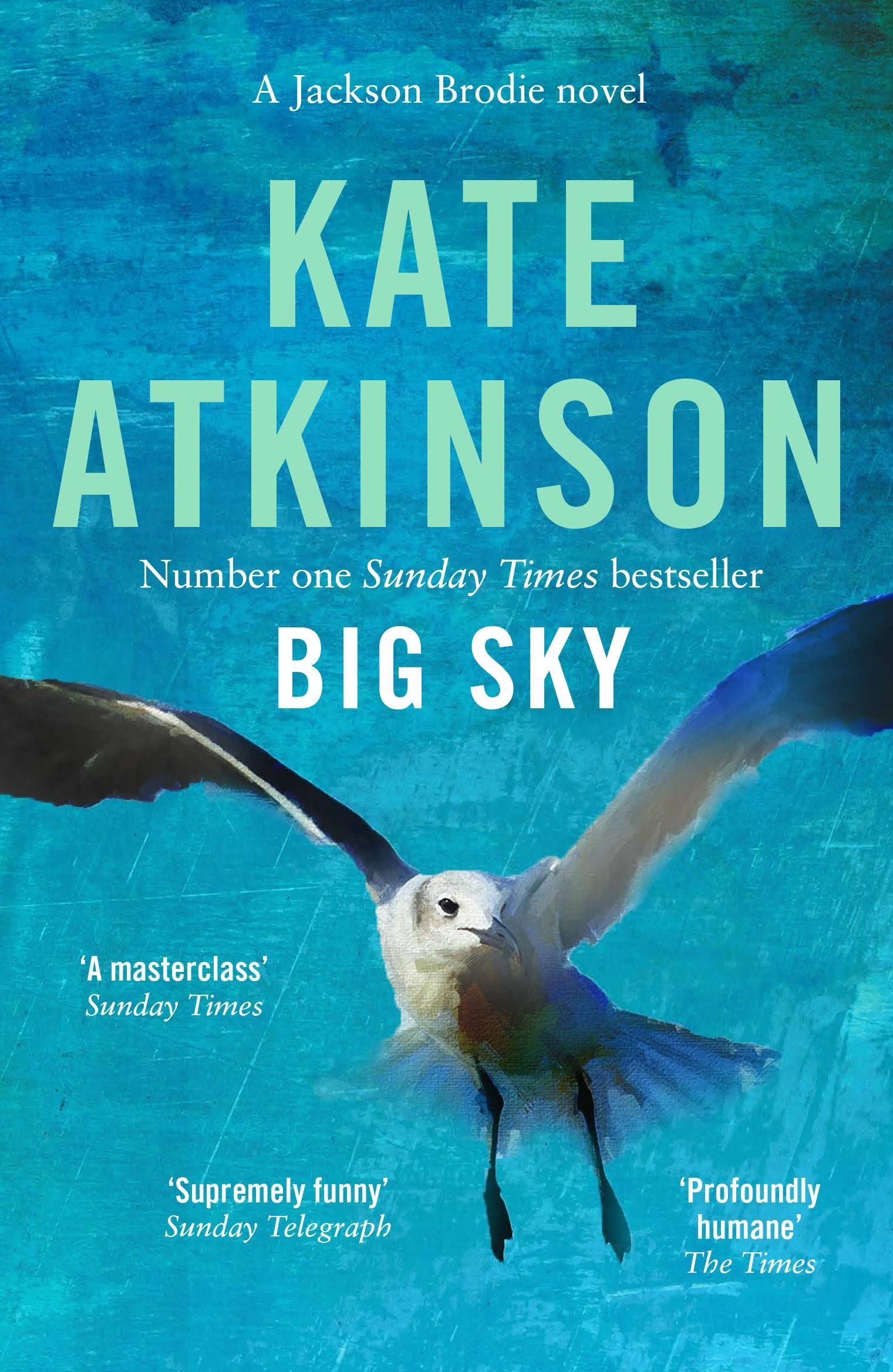 Big Sky [Book]