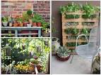 Diy Garden Decor Ideas With Ornamental Plants | Stogielife