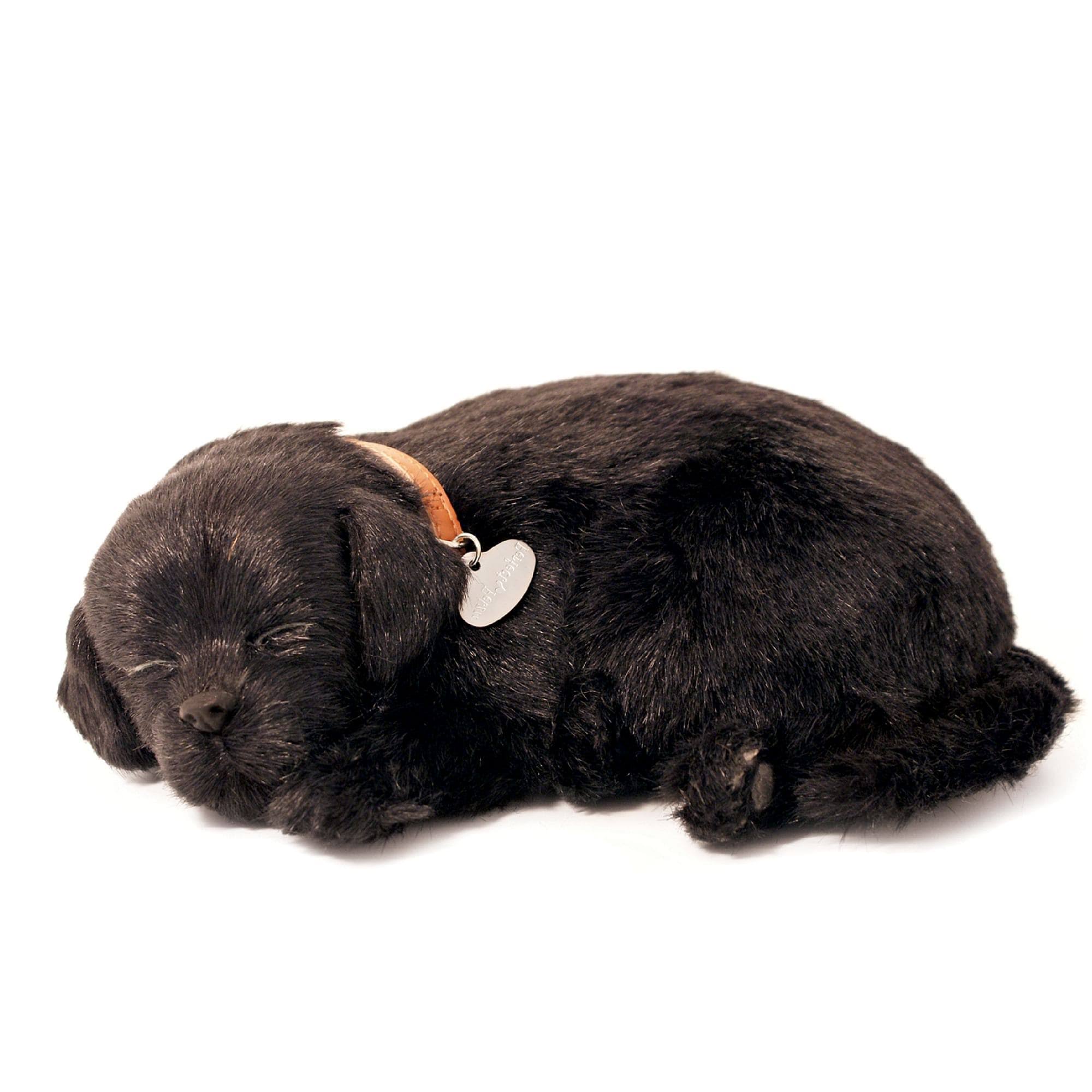 Petzzz Black Lab Breathing Puppy in Dog Bed