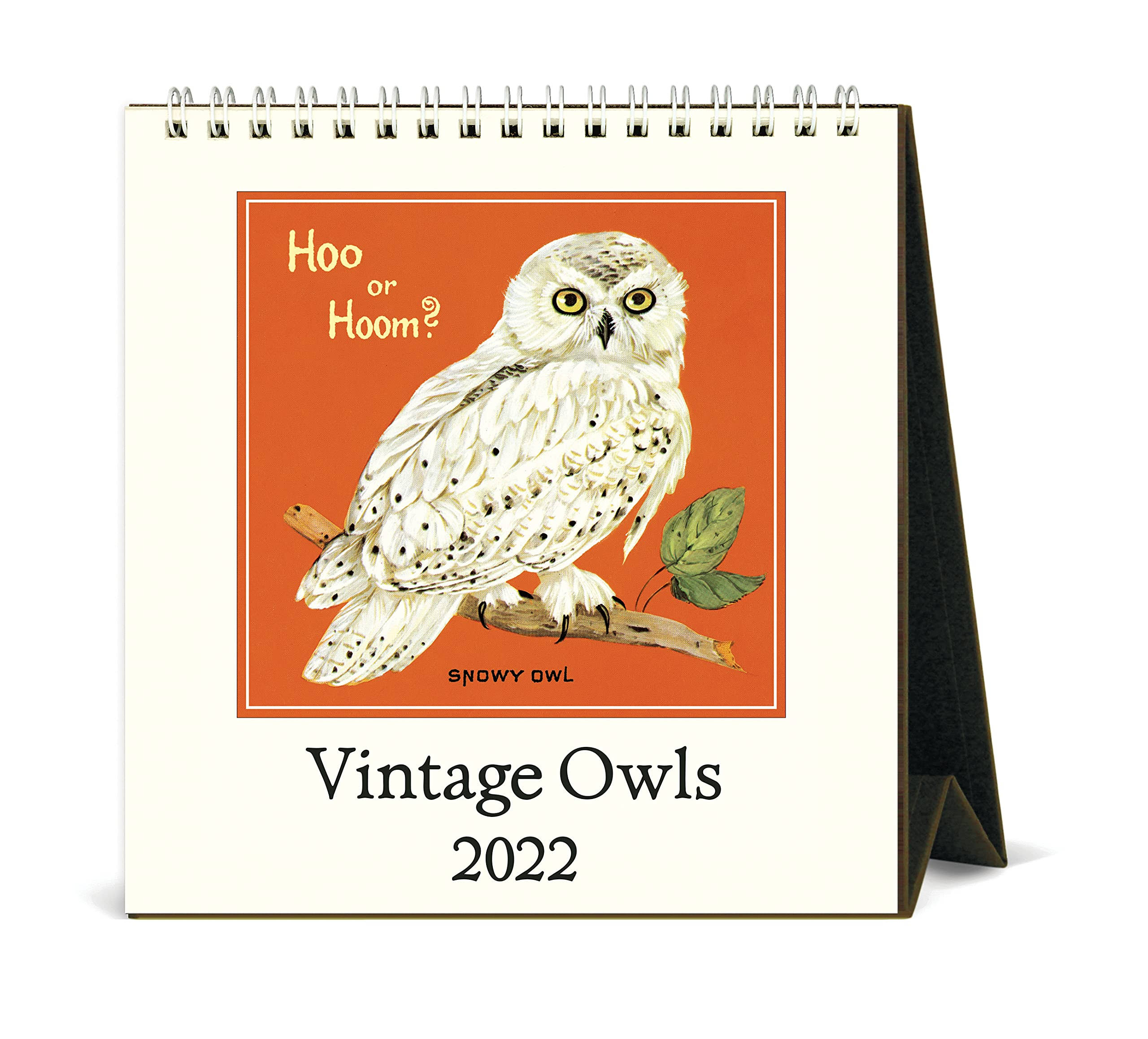 Cavallini 2022 Desk Calendar Owls