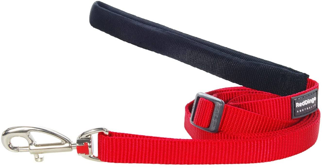 Red Dingo Classic Dog Leash - Red, 15mm x 1.8m