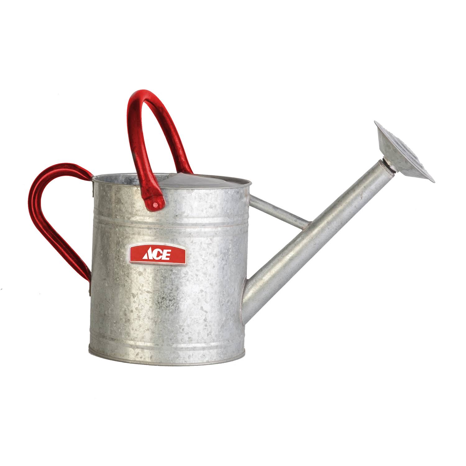 Ace Steel Watering Can - Gray