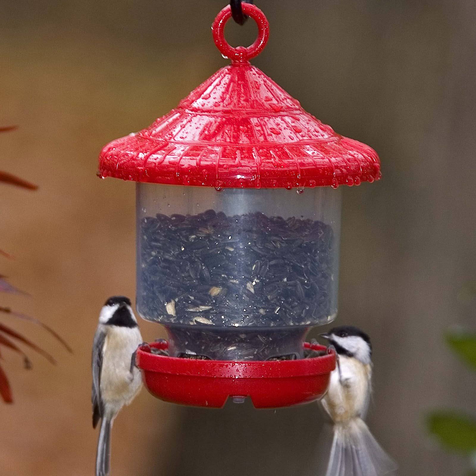 Songbird Essentials Clingers Only Bird Feeder, Red, SE7013 | DVD Movies | General | Free Shipping On All Orders | 30 Day Money Back Guaran