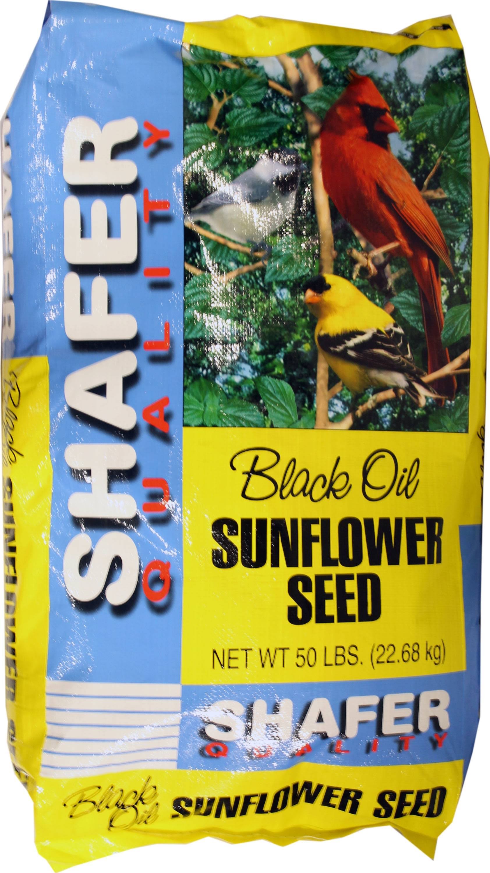 Sunflower Seed 100% Oil
