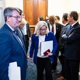 Liz Cheney calls on Democratic voters to switch parties, give her boost in GOP primary