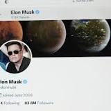 Musk seeks Twitter spam bot info for deal