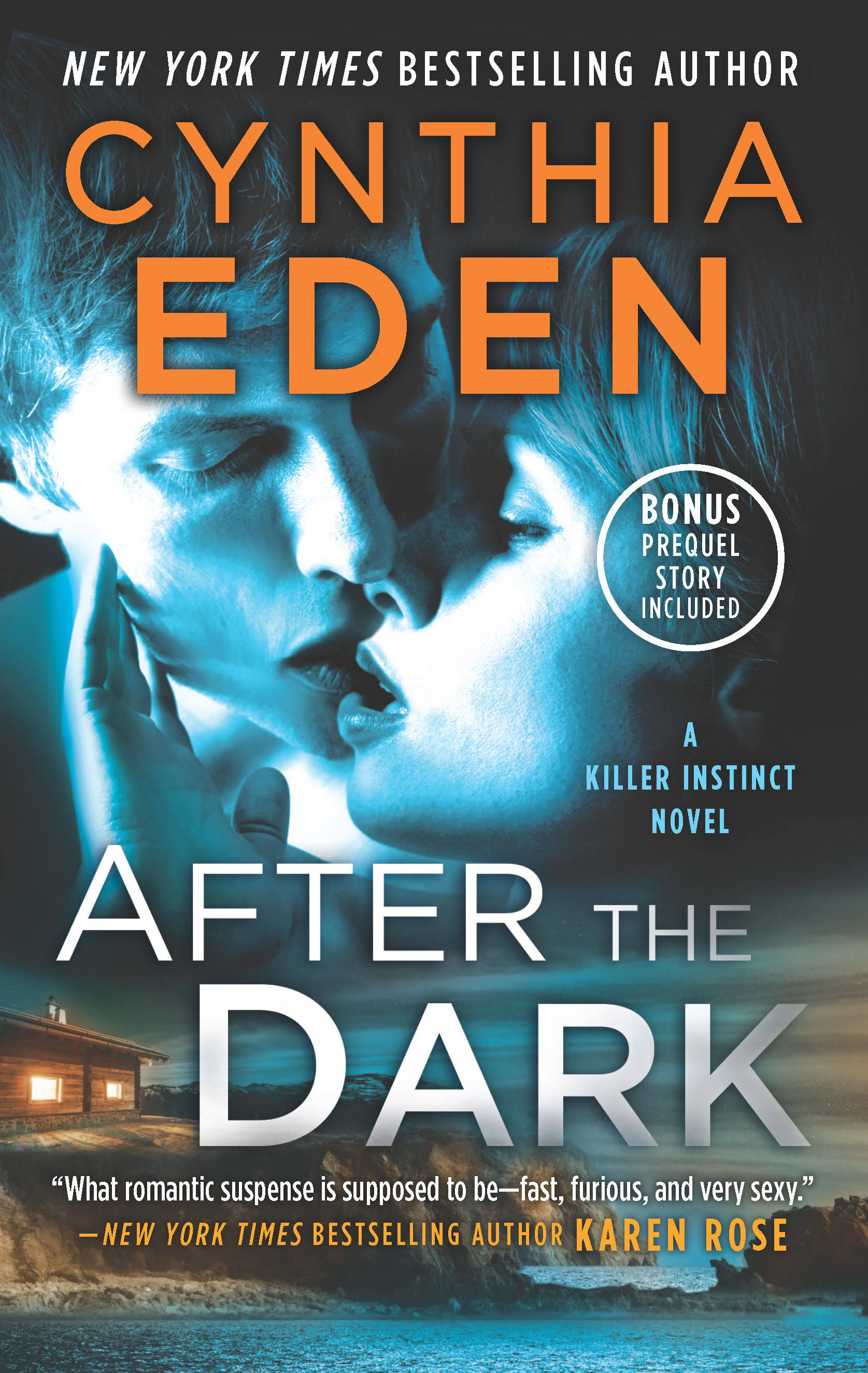 After the Dark [Book]