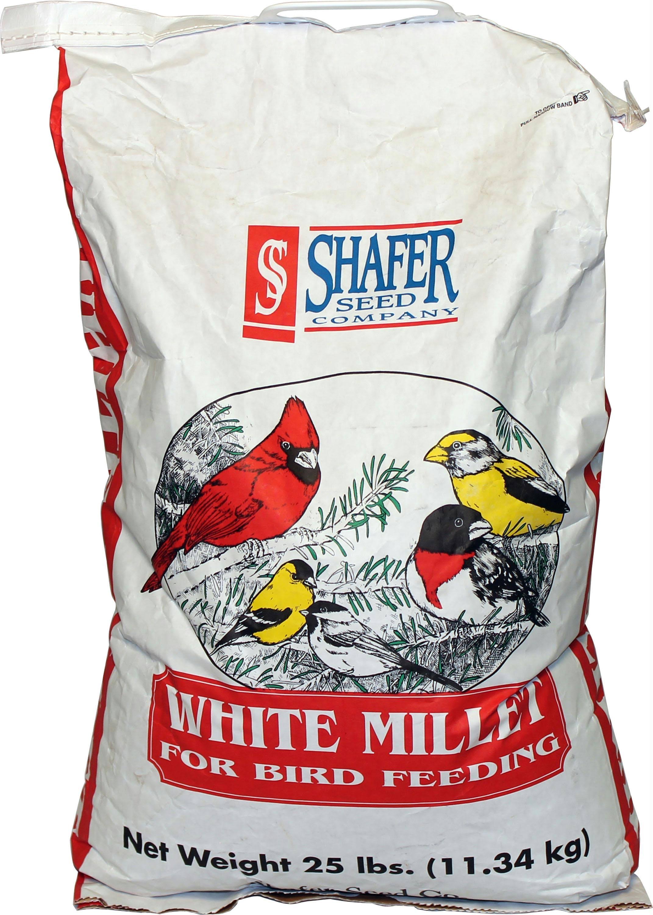 Shafer White Millet