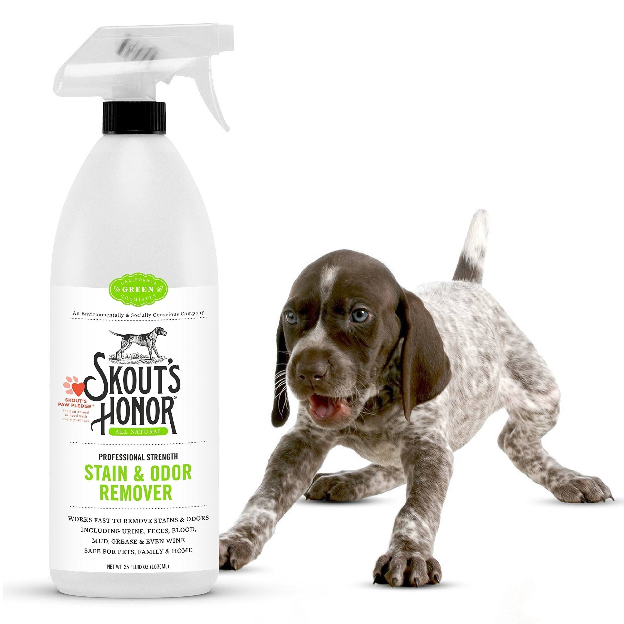 Skout's Honor Stain and Odor Remover size: 35